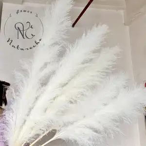批发热卖产品2023干花植物120厘米白色蓬松潘帕斯草家居婚礼装饰品