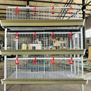 Yeni durum otomatik kanatlı Coop besleyici pil kafesleri Broiler tavuk evi çiftlik yetiştiriciliği katmanlı tavuk Broilers kafes - Product Image 3