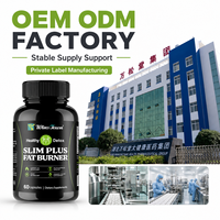 Produits de perte de poids en marque blanche, capsules Slim Plus, contrôle de l'appétit, soutien du métabolisme, usine OEM ODM, vente en gros de compléments alimentaires