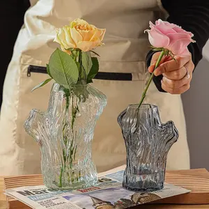 Vaso de vidro hidropônico para flores, vaso de flores dracaena sanderiana, vaso de vidro vertical criativo de grãos finos, decoração para casa