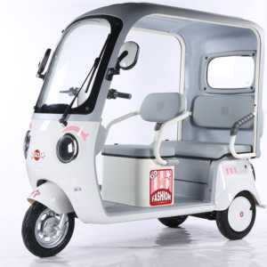 Tricycle électrique 650W 60V20AH Batterie au plomb-acide Pneu 300-10 Moteur sans balais 3 vitesses Frein hydraulique Moto à 3 roues - Product Image 2