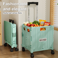 Chariot de courses pliable compact et robuste en plastique, capacité 50 kg, pour cuisine, plage, équipement de vacances, écologique, monte-escaliers 8