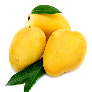 La Mejor Oferta de Mangos Frescos 2026, Naturales y Puros, Disponibles en Grandes Cantidades con Empaque Personalizado, Mangos Frescos en Venta - Product Image 5