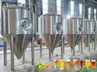 Réservoir de fermentation isolé en acier inoxydable TEKBREW 300L 500L 1000 Litres Bière Vin Jus Tanque de Fermentacion Aislado
