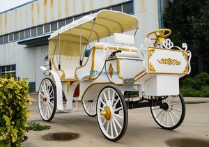 Carruaje Eléctrico Blanco para Paseos Turísticos, Carruaje de Caballos para Bodas, Carruaje de Caballos Personalizado para Paseos Turísticos, Transporte Especial - Product Image 5