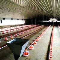 Nouvelle ferme intelligente pour poulets de chair à structure en acier équipée d'un système de contrôle de la température et de prévention des maladies