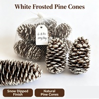 UMIND Cônes de pin naturels à pointes blanches givrées, 6-8 pièces, 200g, sac en filet, décorations de Noël rustiques, écologiques