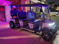 Voiturettes de golf électriques UTV ATV scooter avec batterie au lithium similaire à DENA GO design de qualité supérieure