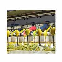 Vietnam Zacht Gedroogde Mango Premium Kwaliteit Natuurlijke Tropische Fruit Snack Voor Export En Groothandel