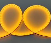 Bande lumineuse LED intelligente dorée 60 LED/m, IP65, 8 mm, cuivre, télécommande, DC12V, pour décoration