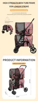 Poussette double pliable pour animaux de compagnie, poussette pour chien et chat 3 en 1 avec DEUX transporteurs détachables