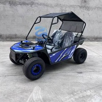 Kart à pédales 2 places en promotion du fabricant, Buggy tout-terrain pour plage et dunes, Mini Jeep Cart, Dépôt spécial transport