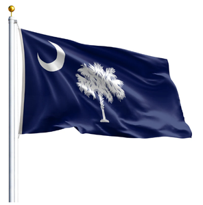 Drapeau personnalisé de Caroline du Sud (États-Unis) en polyester écologique pour affichage intérieur/extérieur avec œillets en laiton – Bannière design - Product Image 1