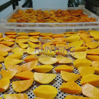 Volautomatische Mango Abrikoos Druiven Fruit En Groente Droger Gedroogde Vruchten Rozijnen Wasdroger Machine Productielijn