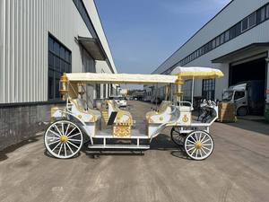 Dernière carrosse Cendrillon pour adultes / Carrosse citrouille de princesse préféré en Europe / Buggy de mariage de luxe - Product Image 4