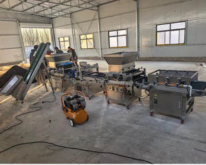Nouvelle Conception Système d'Auto-Nettoyage Planteur de Micro-Pousses avec 288 Trous Machines de Remplissage de Substrat pour <span class=keywords><strong>Semis</strong></span> - Product Image 1