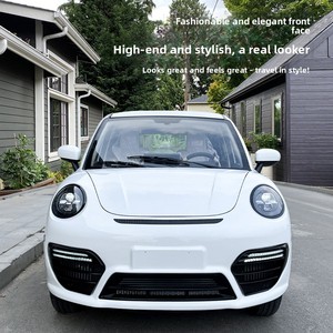 Vehículo Eléctrico de Nueva Energía para Adultos, Coche de Cuatro Ruedas para Uso Doméstico, Híbrido Gasolina-Eléctrico con Batería de Litio, Vehículo de Movilidad de 3.5-5 kW - Product Image 1