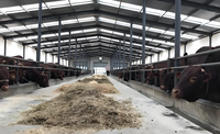 Estructura de Acero para Gallineros, Naves Avícolas, Cobertizos Agrícolas, Edificios Prefabricados para Aves de Corral, Almacenes, Soldadura y Corte