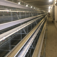 Cage à poulets de type H entièrement automatique pour 10 000 oiseaux, galvanisée à chaud, 3 à 8 niveaux, équipement d'élevage avicole, solution à grande échelle