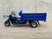 Tricycle de fret 5 roues à essence 250cc, démarrage électrique/à manivelle, carrosserie ouverte, pour usage commercial et agricole, capacité de charge supérieure à 400 kg, vente en gros