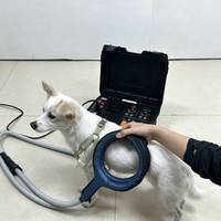 Système de couverture PEMF portable pour chiens et chevaux, en acier inoxydable, léger (5,5 kg), soutien à la récupération, soulagement de la douleur, plusieurs applicateurs
