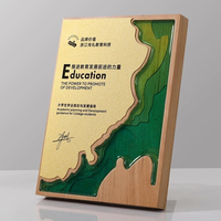 Plaque de récompense créative en résine et bois, design unique plaqué or fondu, trophée moderne pour la reconnaissance des employés