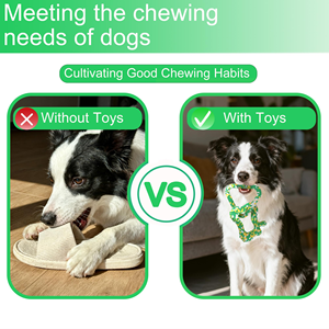 Non-toxic and Environmentally Friendly Pet Interactive Chew Toys for Europe - Product Image 3