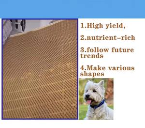 NOUVELLE LIGNE DE PRODUCTION DE BISCUISSONS POUR ANIMAUX DE COMPAGNIE NEAT Machine à fabriquer des biscuits pour chiens avec moteur, PLC, pompe, composants d'engrenage 380V/50HZ - Product Image 4