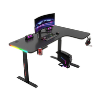 Bureau de jeu PC LED RGB personnalisé, réglable en hauteur électriquement, pour travailler debout ou assis, bureau d'ordinateur