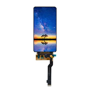 Bán Trực Tiếp Từ Nhà Máy Màn Hình Lcd TFT Linh Hoạt 6.4 Inch Được Chữa Khỏi Màn Hình Amoled 1080X2340 Với Bảng Điều Khiển H-D