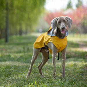 Impermeable <span class=keywords><strong>para</strong></span> Perros con Logotipo Personalizado, <span class=keywords><strong>para</strong></span> Dachshund, Whippet, Greyhound - Chaqueta de Lluvia <span class=keywords><strong>para</strong></span> Mascotas <span class=keywords><strong>para</strong></span> Halloween - Product Image 3