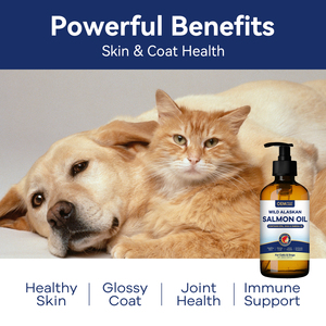 Aceite de Salmón para Perros 100% Natural, Suplemento de Aceite de Pescado Omega-3 con DHA y <span class=keywords><strong>EPA</strong></span>, Promueve la Función de Cadera y Articulaciones, Piel y Pelaje Saludables - Product Image 4