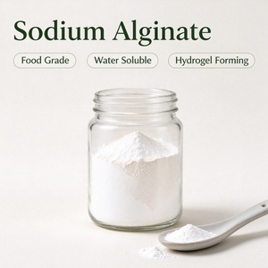 Alginate de sodium en poudre blanche CAS 9005-38-3 Qualité alimentaire E401 Épaississant Stabilisateur pour crème glacée, gelée, boisson - Product Image 2