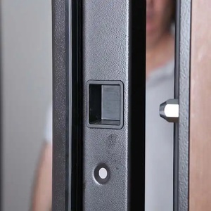 Puerta Antirrobo Blindada <span class=keywords><strong>de</strong></span> Acero Galvanizado <span class=keywords><strong>de</strong></span> 0.8mm <span class=keywords><strong>con</strong></span> Certificación ENV1627 <span class=keywords><strong>de</strong></span> Ares Glass, Rejilla <span class=keywords><strong>de</strong></span> Vidrio <span class=keywords><strong>de</strong></span> <span class=keywords><strong>Seguridad</strong></span> Reforzada para Puerta Principal - Product Image 4