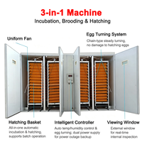 Incubateur automatique 3-en-1 de grande capacité pour 30 000 œufs, couveuse et éleveuse commerciale pour volailles (poulets, canards, oies)