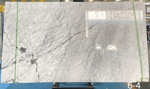 Panel de Pared de Mármol Blanco de Carrara, Superficie Pulida con Diseño Moderno para Aplicaciones en Hoteles, Piedra Natural - Product Image 4