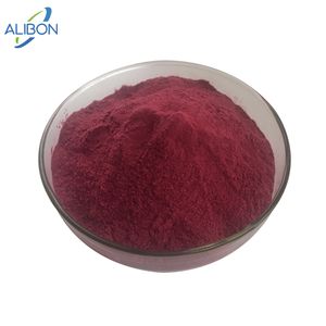 Extrait de <span class=keywords><strong>Cassis</strong></span> Noir 100% Pur et Naturel de Haute Qualité en Gros, Poudre de Fruit de <span class=keywords><strong>Cassis</strong></span> Bio - Product Image 1