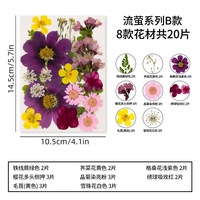 Paket Bunga dan Daun Kering Campuran MNR2188, Daun & Kelopak Asli yang Dipres untuk Kerajinan DIY & Dekorasi Fotografi Potret