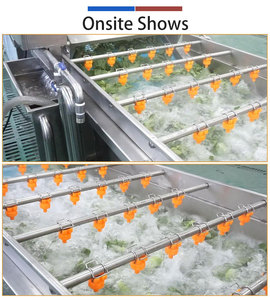 Ligne de traitement commerciale pour légumes verts congelés (Saagpalak, épinards) : lavage, découpe, séchage, blanchiment et congélation - Product Image 5