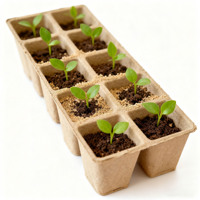 Plateau de semis compostable en pâte à papier à 10 alvéoles, moulé, pour la germination en serre et jardin, vente en gros
