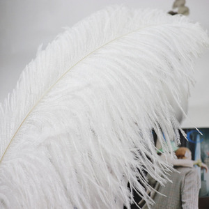 45-50 Cm Plumes d'autruche blanches teintées en blanc pour décoration de fête décorations de mariage - Product Image 3