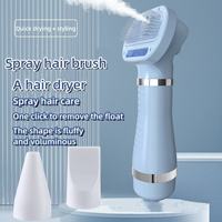 Brosse de toilettage pour animaux de compagnie personnalisée en gros auto-nettoyant toilettage pour animaux de compagnie vapeur professionnelle brosse sèche-cheveux pour animaux de compagnie
