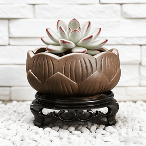 Pots en céramique émaillée en terre cuite grossière avec trou de drainage pour plantes succulentes et fougères asperges - Jardinières de bureau écologiques et durables - Product Image 4