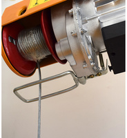Treuil Palan Électrique pour Traction et Levage, Petit Palan Électrique, Grue Palan Électrique 1 Tonne