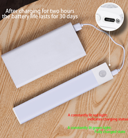 Lampu Kabinet Sensor LED Modern untuk Dapur, Koridor, Lemari, USB Rechargeable, Sensor Gerak, Remote, Plastik, Pemasangan di Dinding