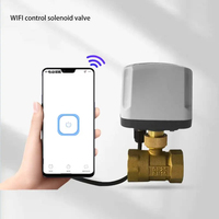 Katup Bola Listrik 2 Arah 3/4" dengan Kontrol Jarak Jauh WiFi untuk Air, Konstruksi Kuningan yang Dapat Disesuaikan OEM