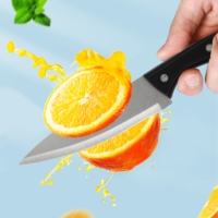 Lot de 5 couteaux de cuisine écologiques en acier inoxydable avec manches en plastique, anti-rouille, pour fruits (couteau d'office, éplucheur, couteau utilitaire, couteau de chef, planche à découper)