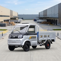 Nouveau camion à benne basculante électrique, mini pick-up, benne basculante hydraulique, véhicule de transport de marchandises, alimenté par batterie, véhicule utilitaire tout-terrain, utilisation agricole