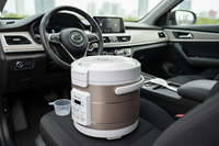 Cuisinière à riz électrique universelle 12-24V 3L, pot de cuisson portable pour voiture avec minuterie et fonction maintien au chaud pour SUV, camion, camping-car, camping