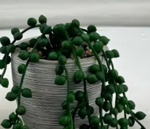 Piante Grimpanti Artificiali con Perle, Lacrime d'Amore, Decorazione per Giardino e Casa, Rami Verdi per Addobbi Floreali - Product Image 5